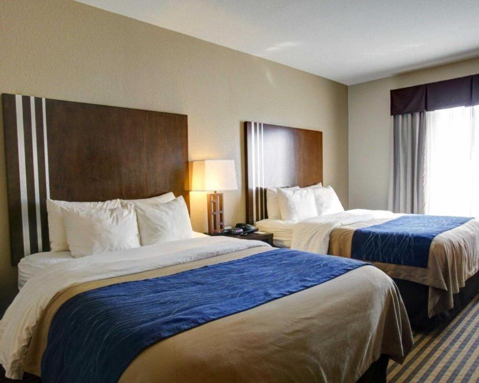 Comfort Inn & Suites Navasota Bagian luar foto