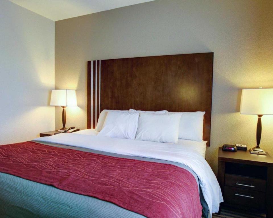Comfort Inn & Suites Navasota Bagian luar foto