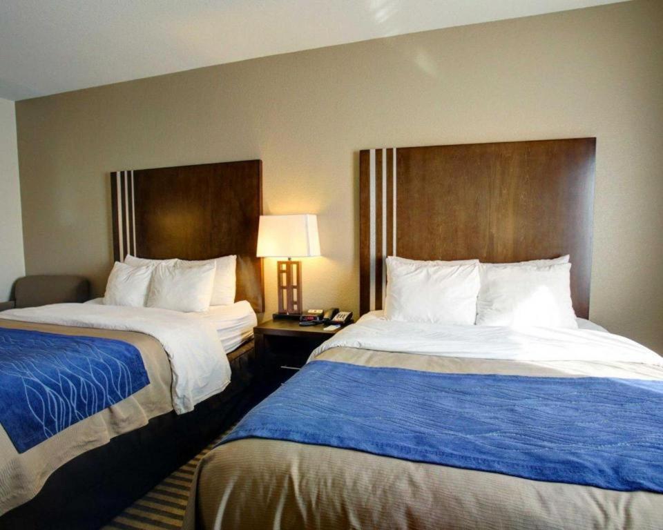 Comfort Inn & Suites Navasota Bagian luar foto