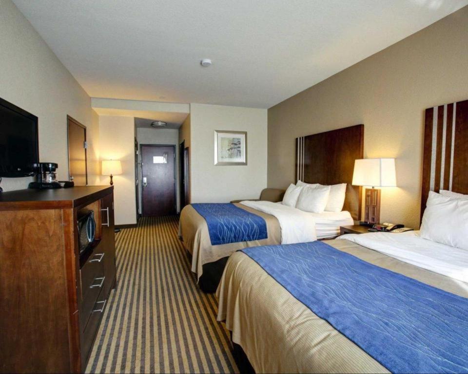 Comfort Inn & Suites Navasota Bagian luar foto