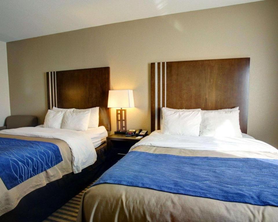 Comfort Inn & Suites Navasota Bagian luar foto