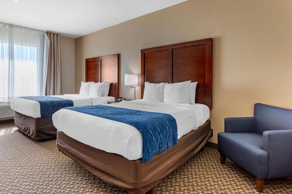 Comfort Inn & Suites Navasota Bagian luar foto