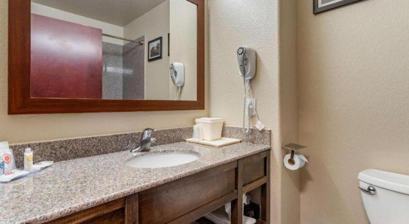 Comfort Inn & Suites Navasota Bagian luar foto