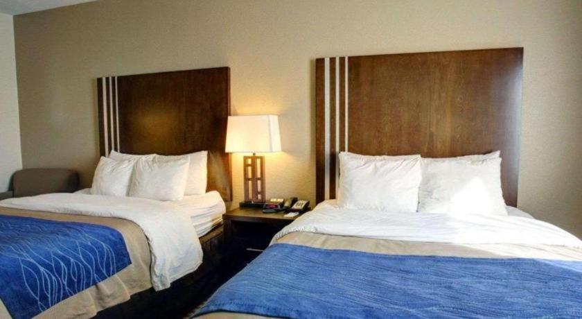 Comfort Inn & Suites Navasota Bagian luar foto