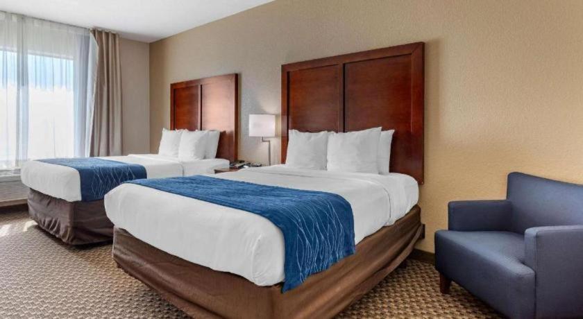 Comfort Inn & Suites Navasota Bagian luar foto