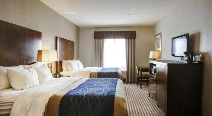 Comfort Inn & Suites Navasota Bagian luar foto